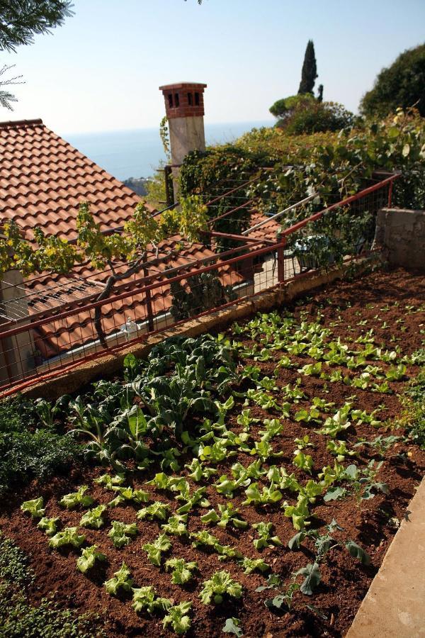 Appartamento With A Parking Space - 4673 Ragusa